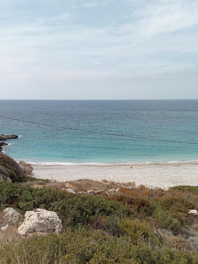 Albatros Studios & Apartments Lefkos  المظهر الخارجي الصورة