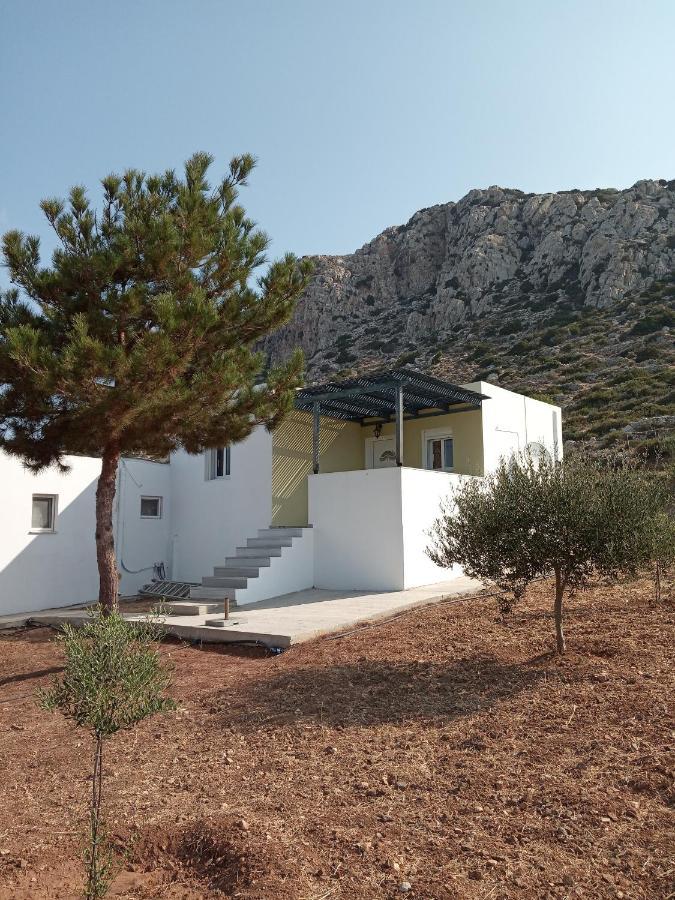 Albatros Studios & Apartments Lefkos  المظهر الخارجي الصورة