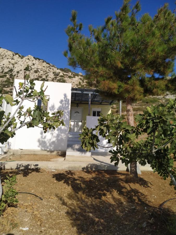 Albatros Studios & Apartments Lefkos  المظهر الخارجي الصورة
